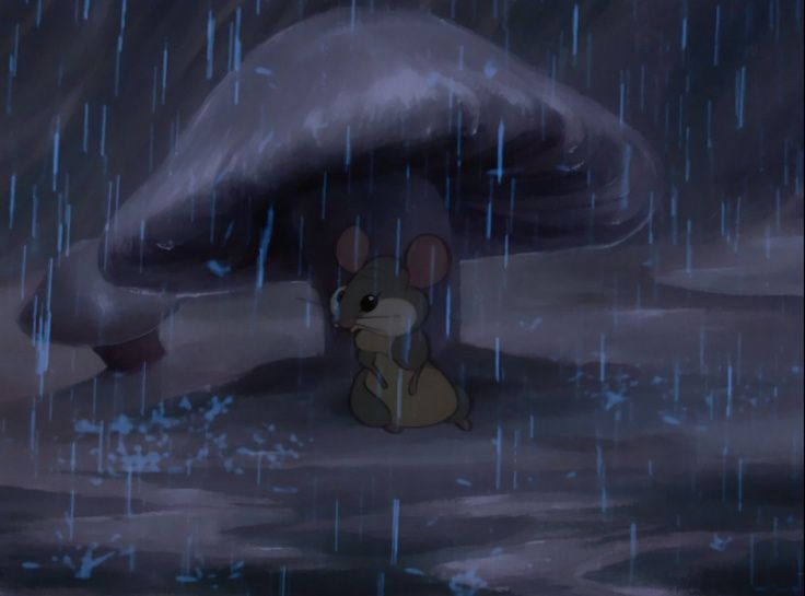 2f0db3e8f33ad2f512551d86efd7a84b